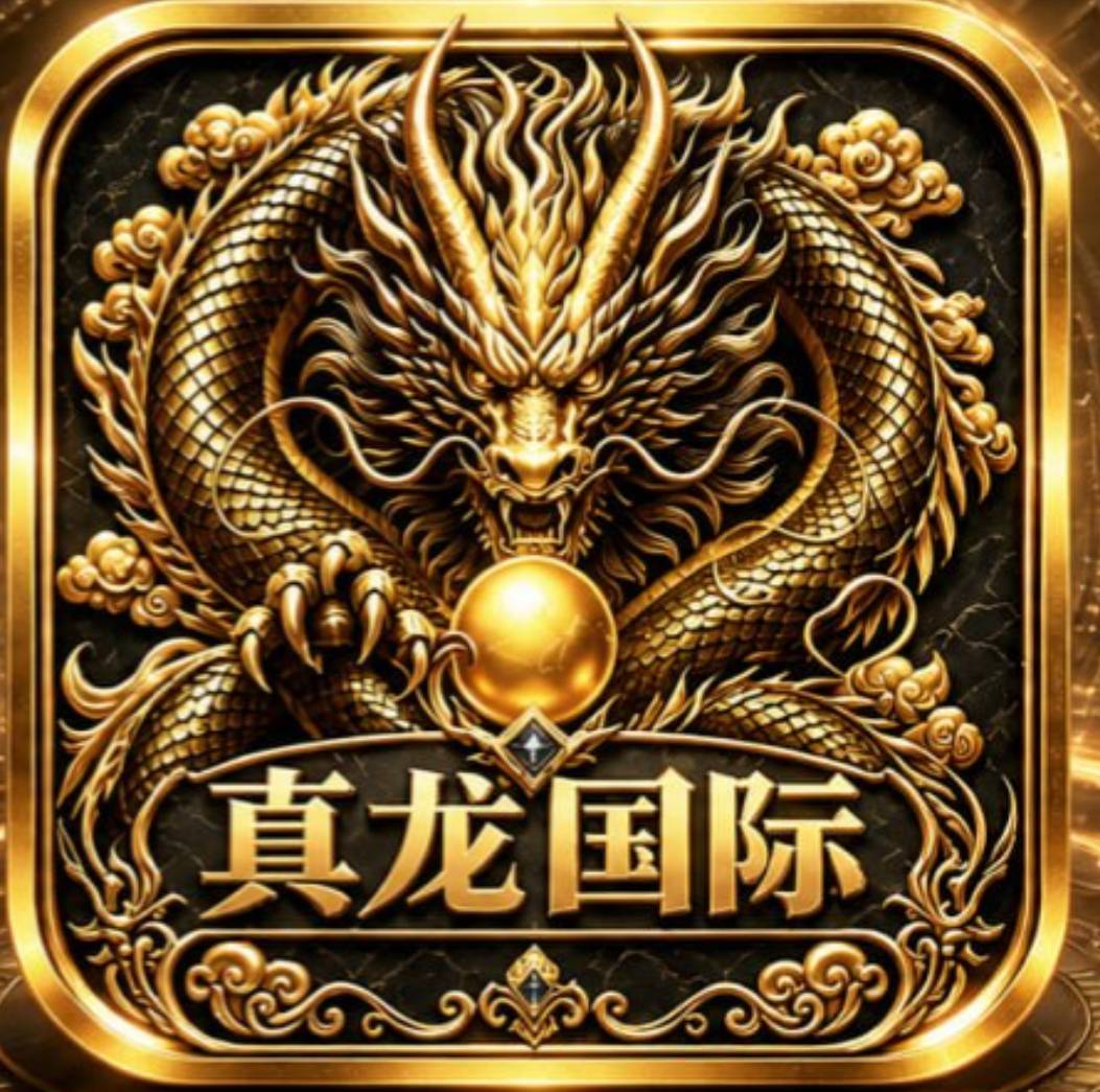 真龙国际